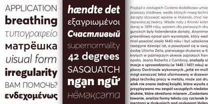 Averta Font Poster 6