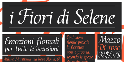 Bella Font Poster 2