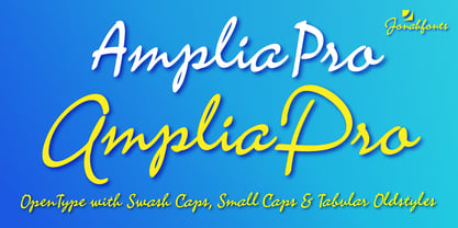 Amplia Pro Font Poster 1