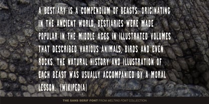 GS Slim One Bestiary Font Poster 6