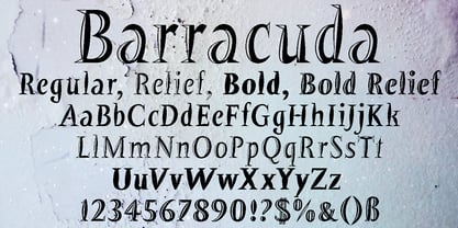 Barracuda Font Poster 1