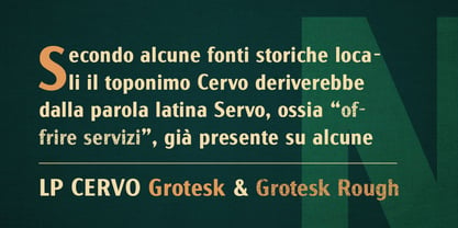 LP Cervo Font Poster 2