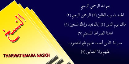 TE Naskh Font Poster 4