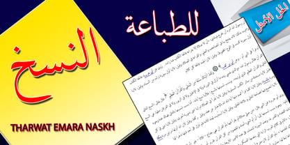 TE Naskh Font Poster 3