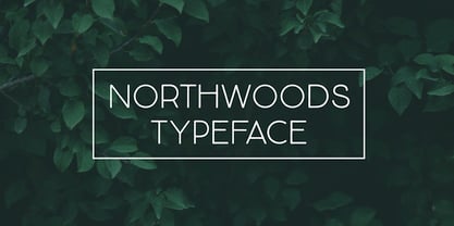 Northwoods Font Poster 1