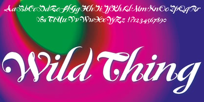 WildThing Font Poster 1