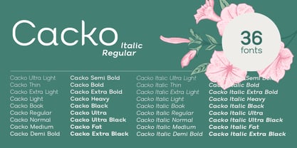 Cacko Font Poster 2