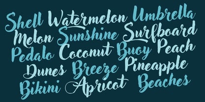 Adlery Pro Font Poster 10