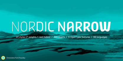 Nordic Narrow Pro Police Poster 1