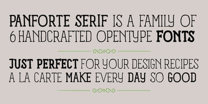 Panforte Serif Font Poster 4