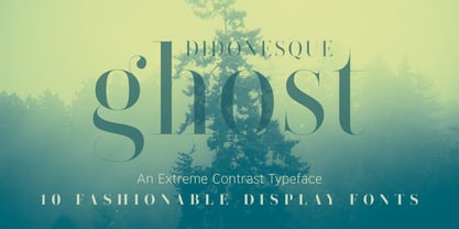 Didonesque Ghost Fuente Póster 1