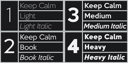 Keep Calm Police Poster 2