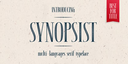 Synopsist Font Poster 12