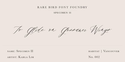 Rare Bird Specimen II Font Poster 1