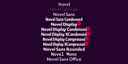 Novel Sans Hair Pro Font Poster 8