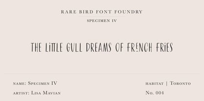 Rare Bird Specimen IV Font Poster 1