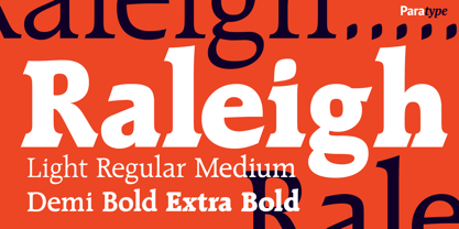 Raleigh Font Poster 6