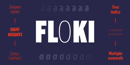 Floki Font Poster 1