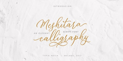 Meshitara Font Poster 9