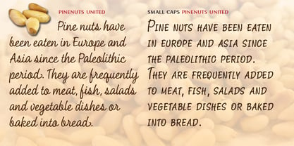 Pine Nuts United Font Poster 2