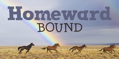 Homeward Bound Font Poster 5