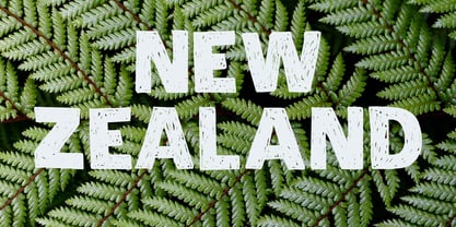Zealand Font Poster 2