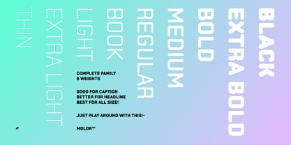 Moldr Font Poster 2