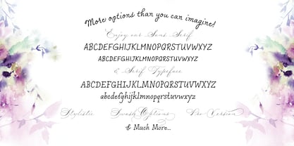 Madison Street Font Poster 4