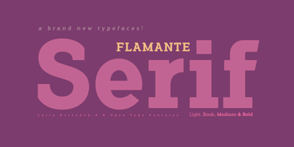 Flamante Serif Fuente Póster 1