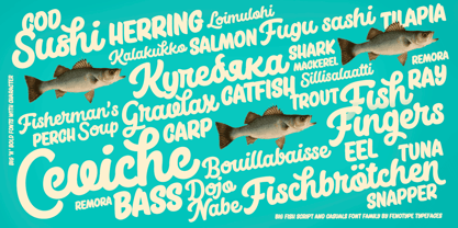 Big Fish Font Poster 6