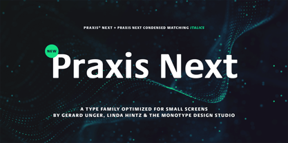 Praxis Next Fuente Póster 1