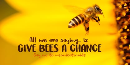 Honeyguide Font Poster 5