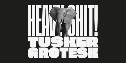 Tusker Grotesk Fuente Póster 1