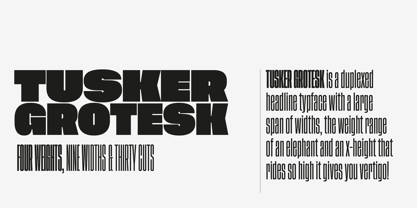 Tusker Grotesk Fuente Póster 2