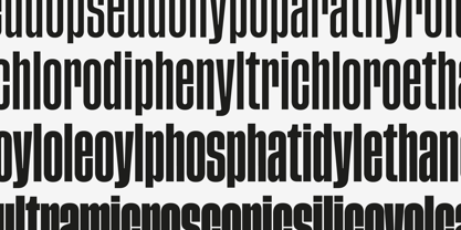 Tusker Grotesk Font Poster 4