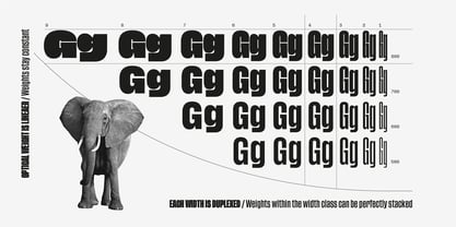 Tusker Grotesk Police Poster 6