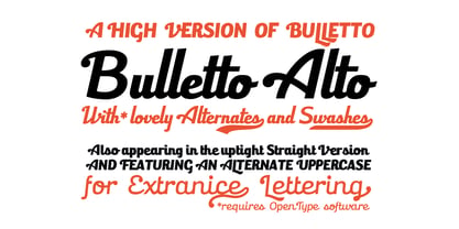 Bulletto Font Poster 7
