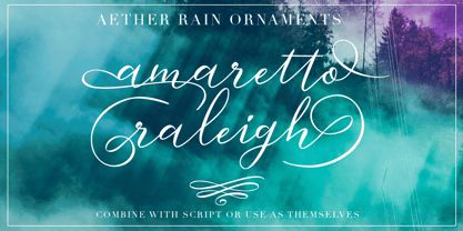 Aether Rain Font Poster 5