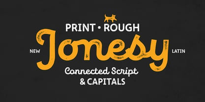 New Jonesy Latin Font Poster 1