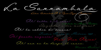 La Sonnambula Font Poster 3