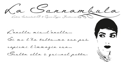 La Sonnambula Font Poster 5