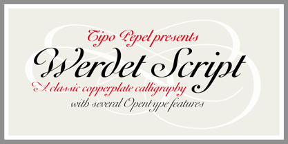 Werdet Script Font Poster 1