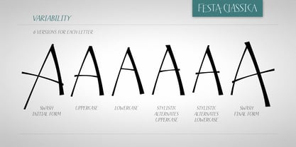 Festa Classica Font Poster 5