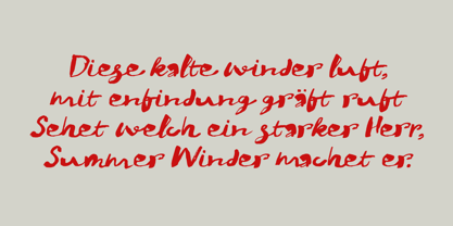 Winterberry Font Poster 3