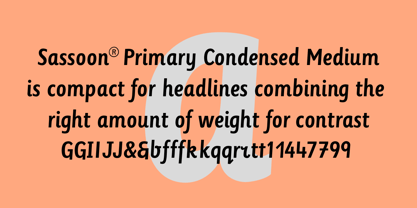 Sassoon Primary Cond Font Poster 1