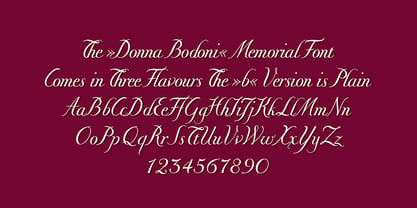 Donna Bodoni Font Poster 4