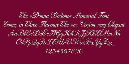 Donna Bodoni Font Poster 5