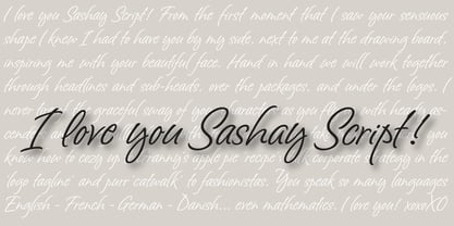 Sashay Script Font Poster 2
