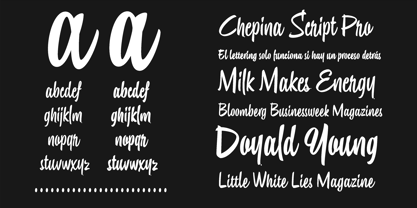 Chepina Script Font Poster 8