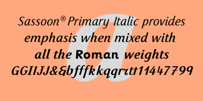 Sassoon Primary Font Poster 7